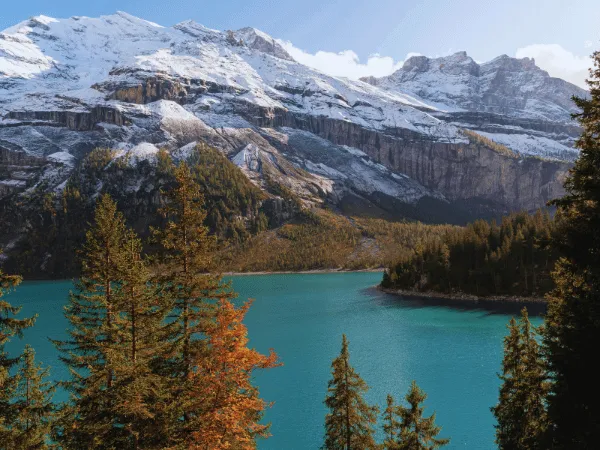 oeschinensee kandersteg turquoise lake with autumn golden larch trees and snow-dusted limestone cliffs switzerland