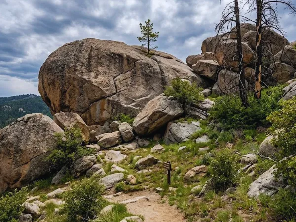 Large granite boulders along a dirt hiking trail surrounded by scrubby trees and green bushes under a cloudy sky.