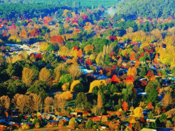 Aerial view of Bright Victoria town surrounded by vibrant autumn foliage in red, orange, yellow and green — a stunning seasonal landscape in the Victorian Alps