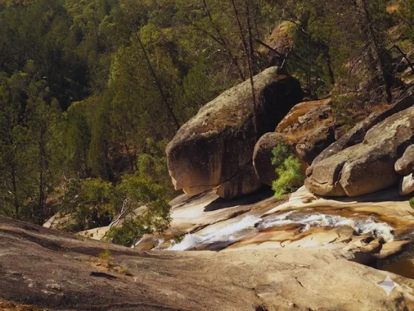 Large lichen-covered granite boulders with a small waterfall cascading over smooth rock slabs surrounded by native bush on the Beechworth Gorge Walk