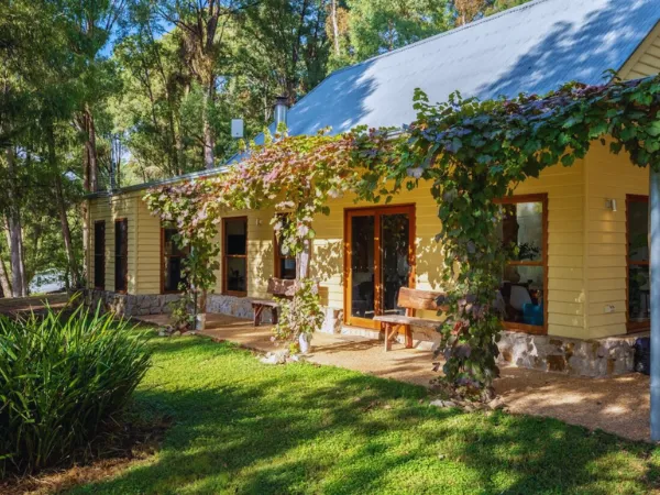 A charming yellow timber cottage covered in climbing vines with a stone foundation and garden patio, set among tall trees in Bright Victoria