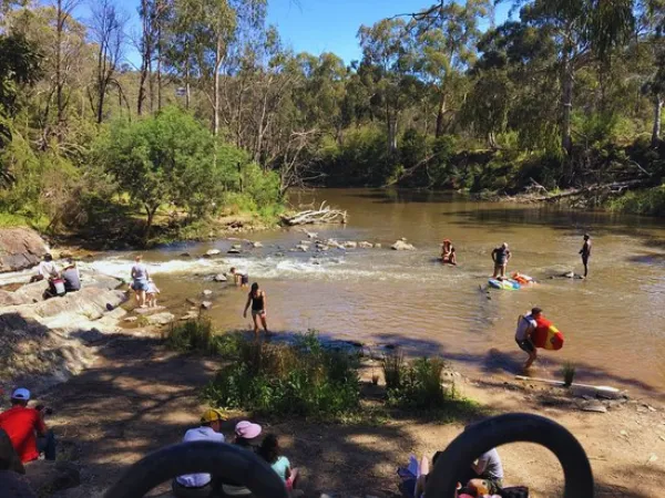 Families swimming and playing in the Yarra River at Pound Bend Reserve Warrandyte on a sunny day
