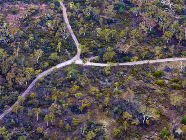 Aerial view of winding dirt tracks through scrubby High Country bushland near Jamieson, Victoria, showing the elevated walk sections