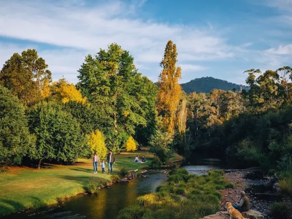 Family walking along the Jamieson River during autumn on the Jamieson Paw Prints Walk, Victoria's High Country