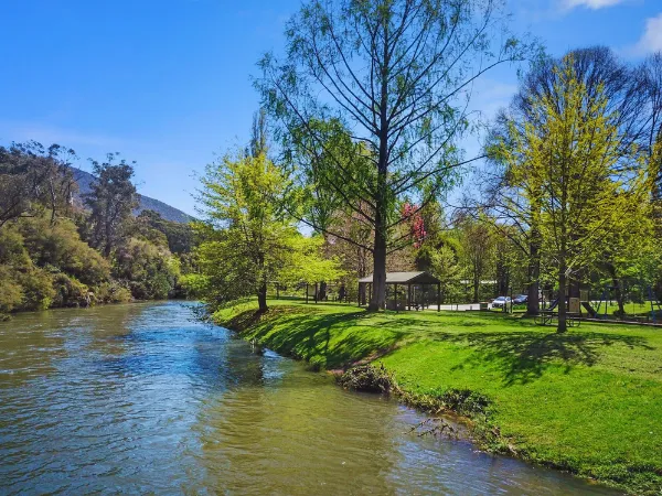 Jamieson River flowing beside a green parkland with a picnic pavilion and tall trees on a sunny spring day near the Paw Prints Walk