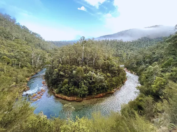 Aerial view of two rivers meeting through dense bush in Jamieson, Victoria's High Country, near the Paw Prints Walk trail