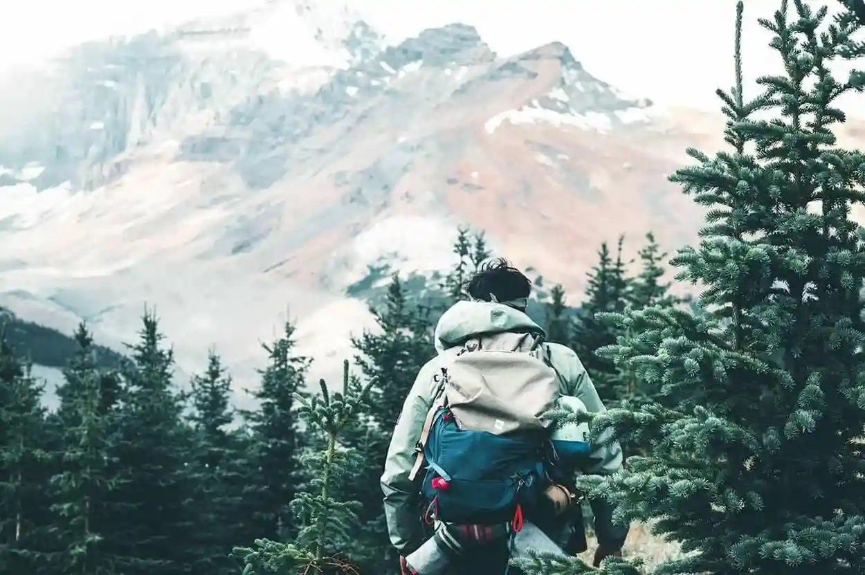 lessexplore-hiker-pine-forest-mountain