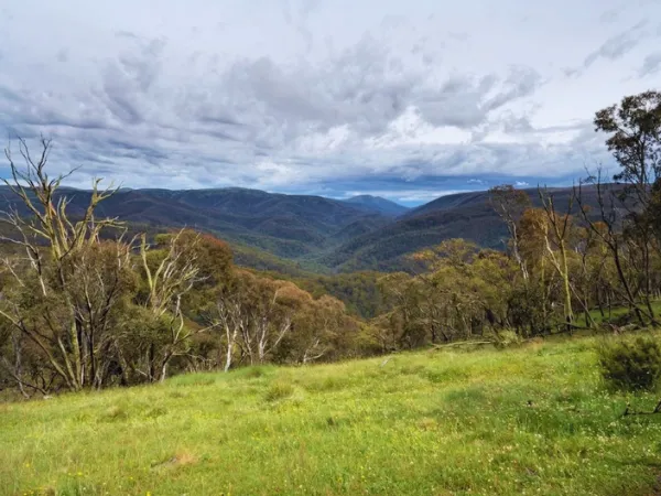 Alpine mountain scenery near Room With a View Walk Dinner Plain Victoria.