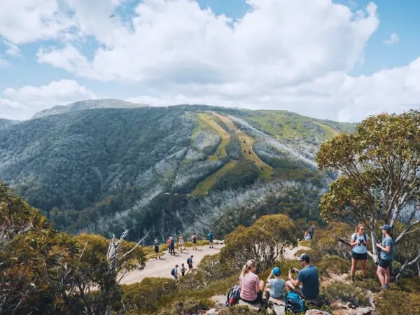 Groups of walkers resting and taking in the view at the Mt Buller summit lookout during the Summit Nature Walk with green mountain slopes in the background