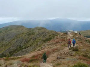 Three hikers walking along the rocky paved trail of the Summit Nature Walk at Mt Buller with misty mountain ridges and low clouds in the background