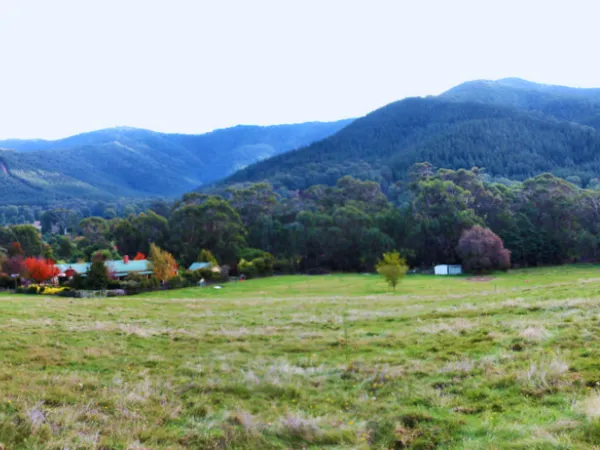 Lush green paddocks and farmhouses in Wandiligong Valley near Bright Victoria with the Victorian Alps mountain range in the background