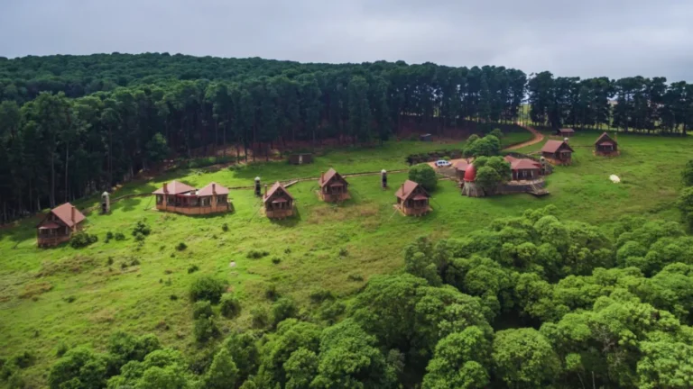Aerial view of lodge cabins surrounded by forest at Nyika Plateau