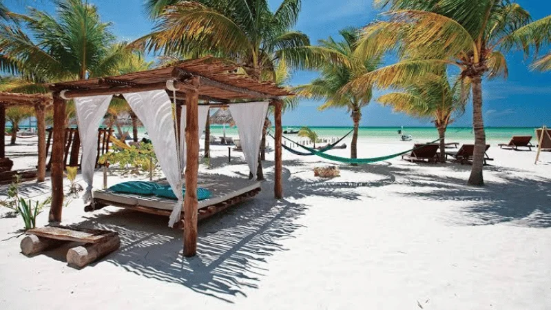 White canopy beach bed and hammock under palm trees on Isla Holbox