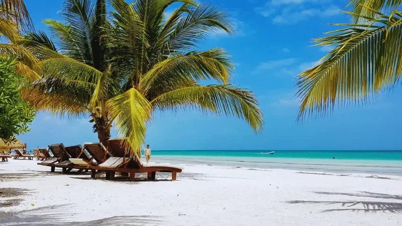 Beach loungers under a palm tree on Isla Holbox white sand beach