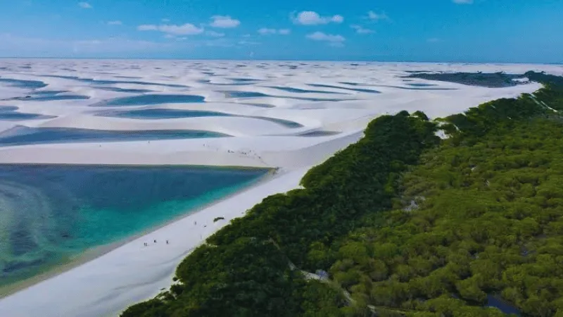 Coastal dunes and mangrove forest at Lençóis Maranhenses National Park