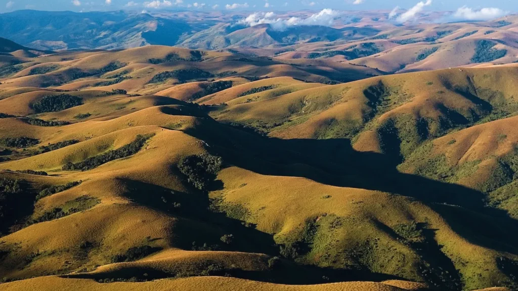Aerial view of rolling golden-green hills at Nyika Plateau, Malawi