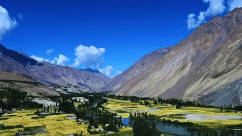 Green meadows surrounded by mountains in Phander Valley, Pakistan