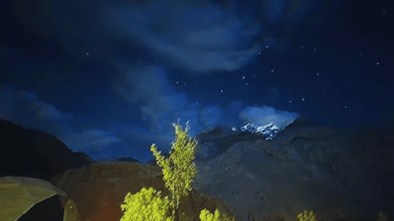 Star-filled night sky above Phander Valley, Pakistan