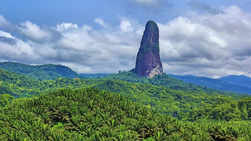 Pico Cão Grande peak viewed above palm plantation in São Tomé
