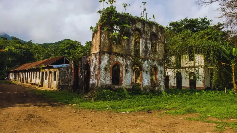 Overgrown ruins of an abandoned colonial roça plantation in São Tomé