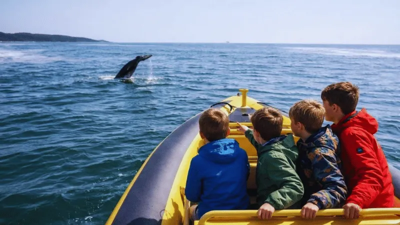 Children watching humpback whale tail splash from boat in Tofino Canada