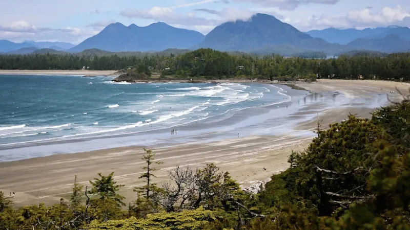 Aerial view of Long Beach shoreline with mountains near Tofino Canada