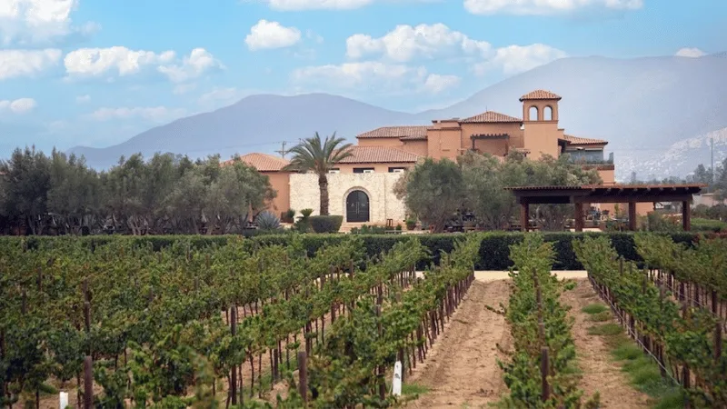 Winery estate with mountain backdrop in Valle de Guadalupe, Mexico