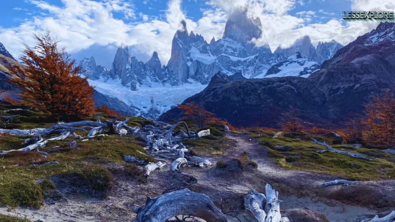 Hiking trail toward Fitz Roy with autumn foliage in El Chaltén