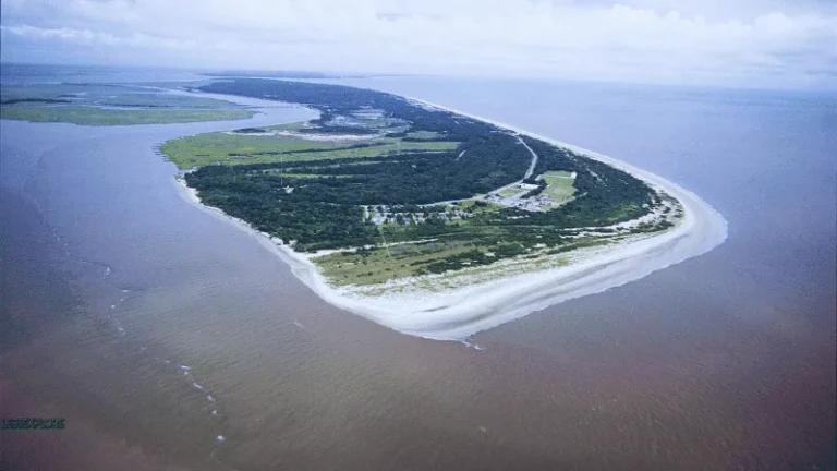 Aerial view of Cumberland Island National Seashore surrounded by ocean and marshland
