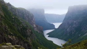 Misty fjord valley with steep cliffs in Gros Morne National Park