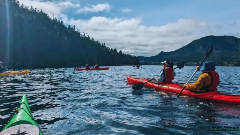 Kayakers paddling near forested cliffs in Gros Morne National Park