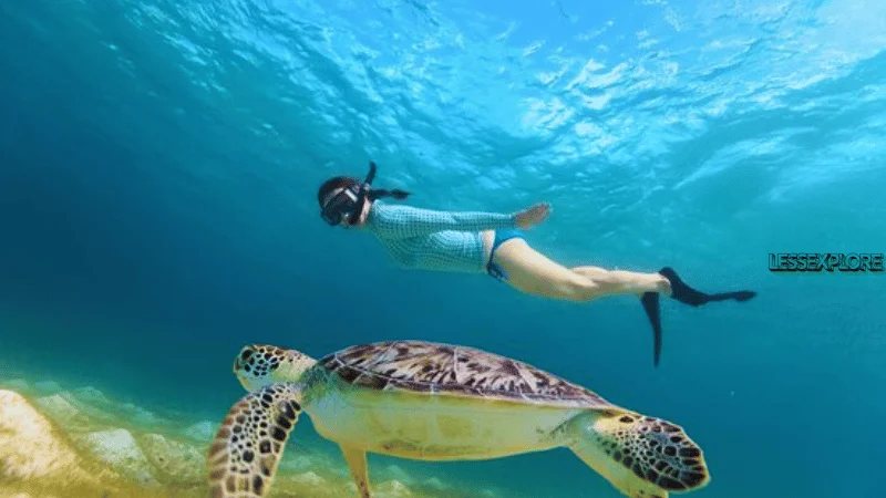 Snorkeler swimming with a sea turtle in Los Roques Archipelago