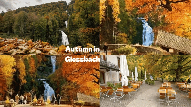Autumn in Giessbach with cascading waterfalls and colorful forest