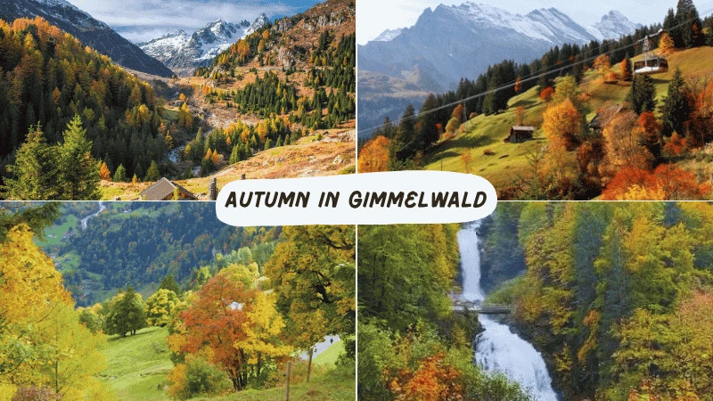 Autumn in Gimmelwald with wooden chalets and mountain cliffs