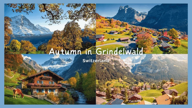 Autumn in Grindelwald with Eiger north face and golden hiking trails