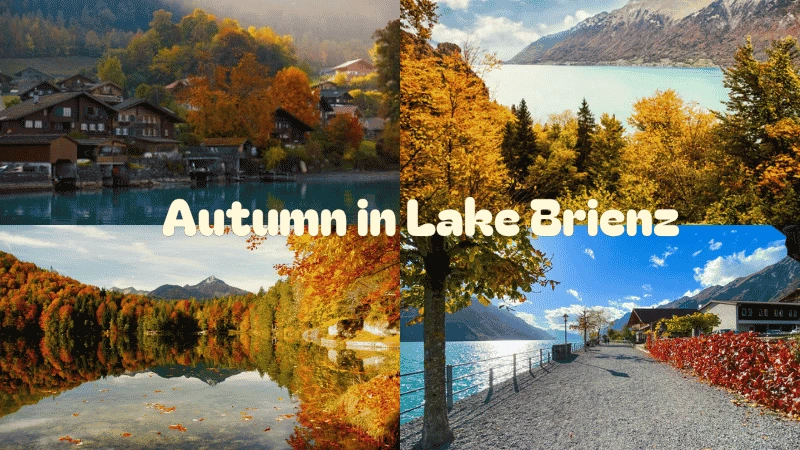 Autumn in Lake Brienz with turquoise water and misty mountains
