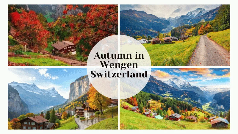 Autumn in Wengen Switzerland with golden trees and Jungfrau mountain view