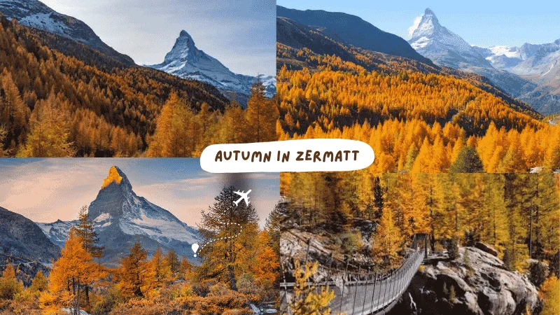 Autumn in Zermatt with Matterhorn peak and golden larch trees