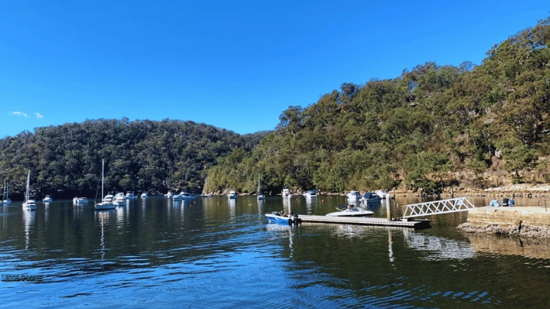 Sailboats moored in a river cove near Dangar Island NSW