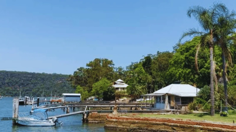 Riverside cottages and jetty on Dangar Island NSW with palm trees