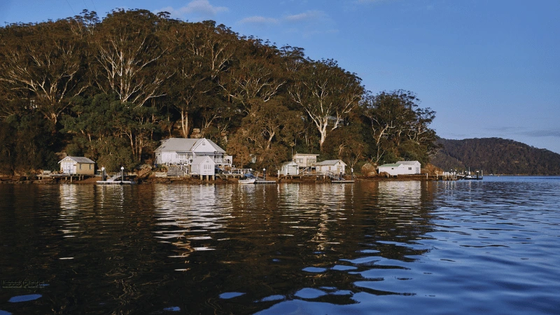 Dangar Island NSW waterfront houses among trees at sunset with water reflections