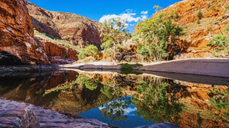 Ormiston Gorge waterhole reflecting red cliffs, ghost gums, and a blue sky with white clouds