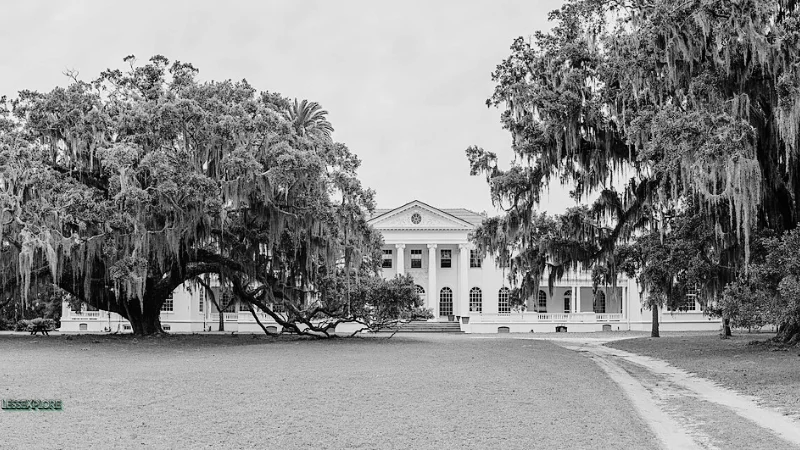 Black and white photo of Plum Orchard Mansion framed by oak trees