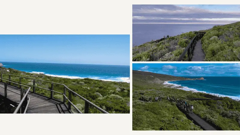 Wooden boardwalk winding through coastal scrub toward the ocean in Leeuwin-Naturaliste National Park