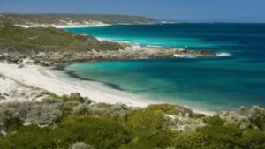 Aerial-style view of a white sand beach and turquoise water framed by coastal bushland in Leeuwin-Naturaliste National Park