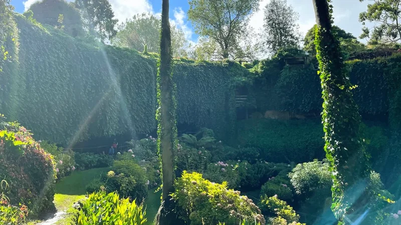 Upward view of palms, ivy walls and blue sky through the opening of Umpherston Sinkhole