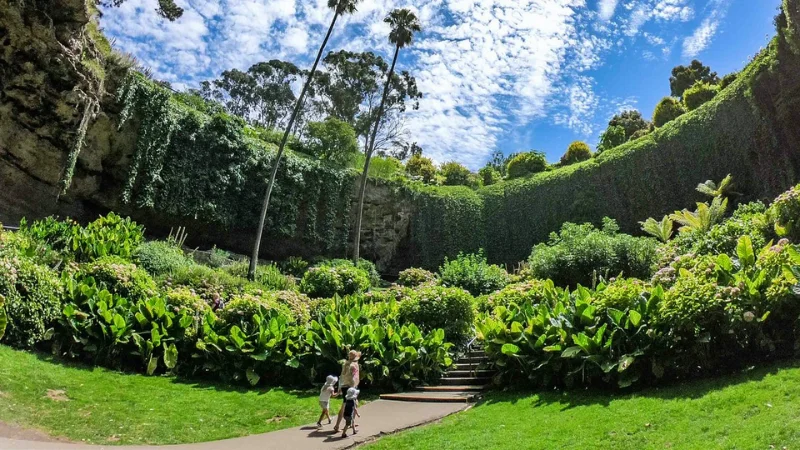 Pink hydrangeas along a garden path with ivy-covered walls inside a Mount Gambier sinkhole