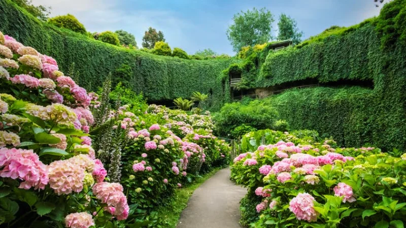 Visitors walking a handrail-lined path past tree ferns and limestone walls in a sunken garden