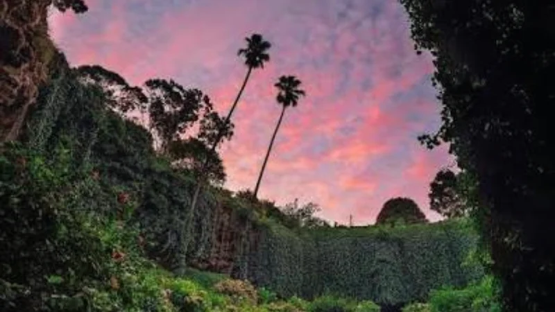 Pink and purple dusk sky above palms and ivy walls at the Umpherston Sinkhole in Mount Gambier
