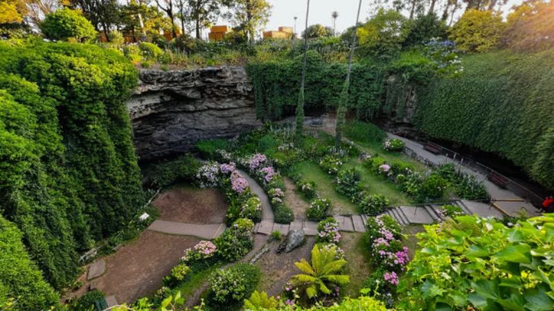 Family walking along a path past hydrangeas and tall palms on the floor of a Mount Gambier sinkhole